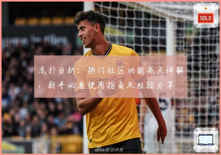 虎扑分析：热门社区功能亮点详解，新手必看使用指南及经验分享