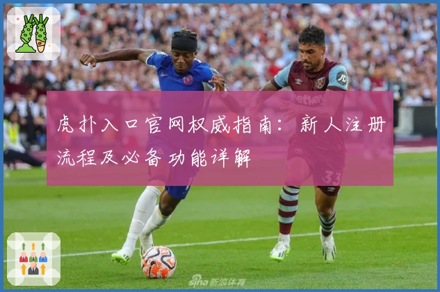 虎扑入口官网权威指南：新人注册流程及必备功能详解