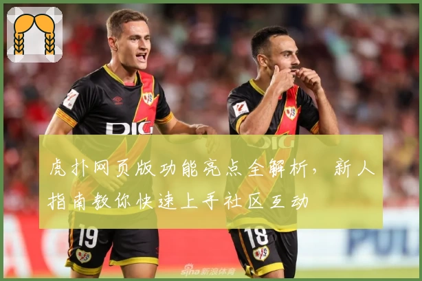 虎扑网页版功能亮点全解析，新人指南教你快速上手社区互动