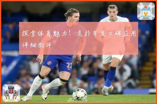 探索体育魅力！虎扑年度口碑应用详细测评